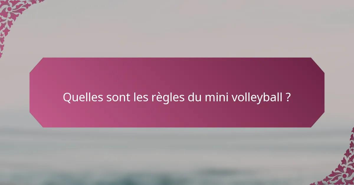 Quelles sont les règles du mini volleyball ?